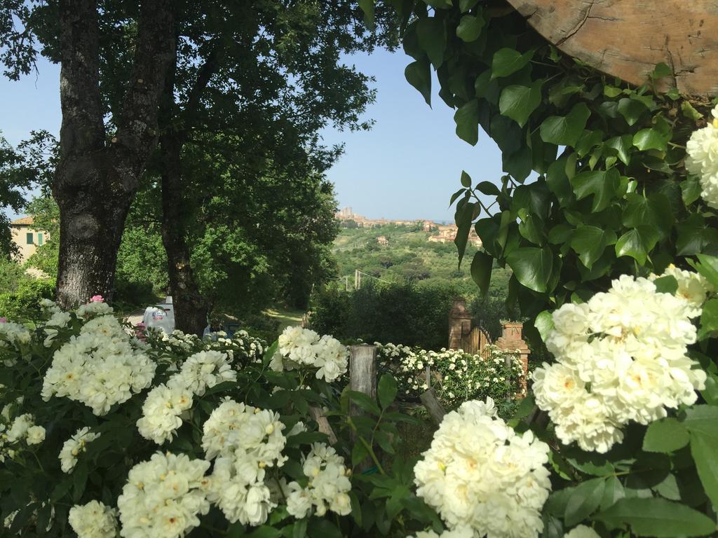 Podere Sant'Elena San Gimignano Exteriör bild