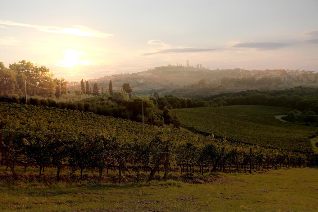 Podere Sant'Elena San Gimignano Exteriör bild