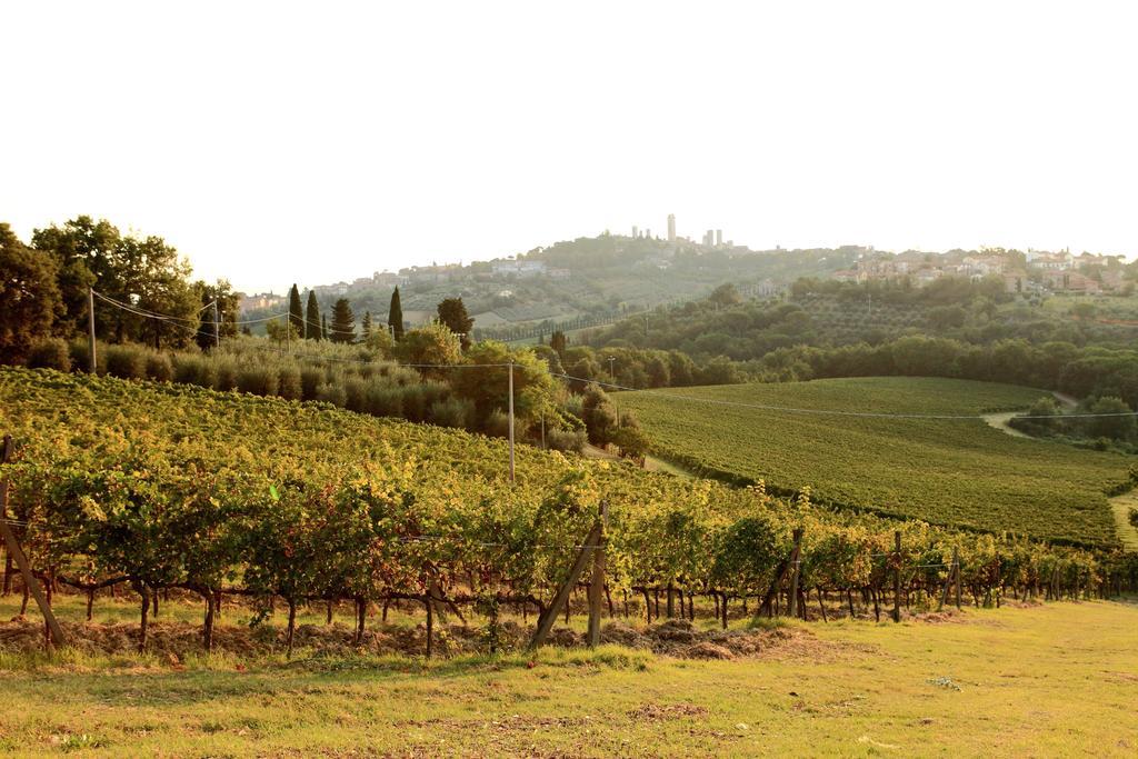 Podere Sant'Elena San Gimignano Exteriör bild